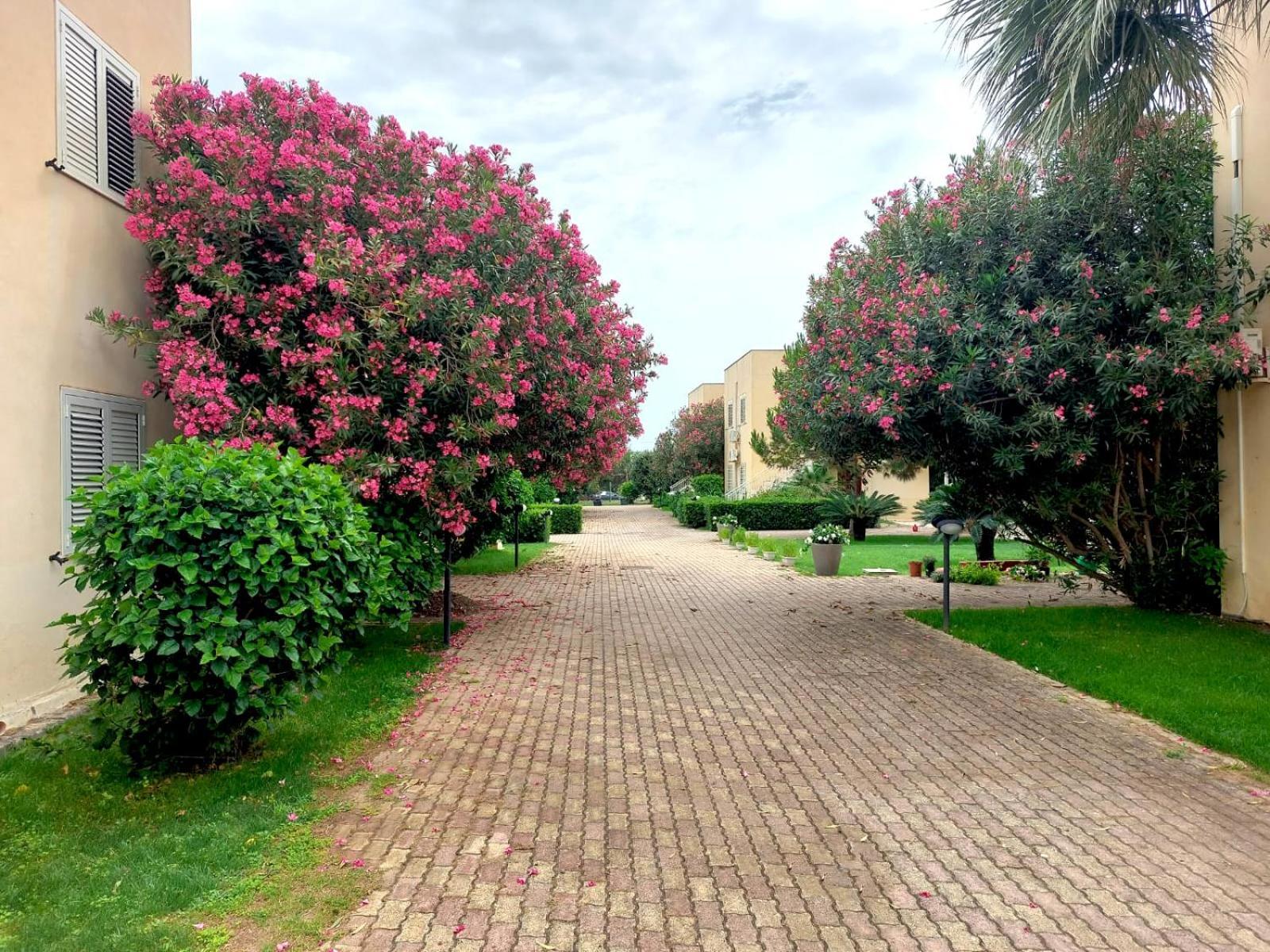 Giallomare Apart otel Marzamemi Dış mekan fotoğraf